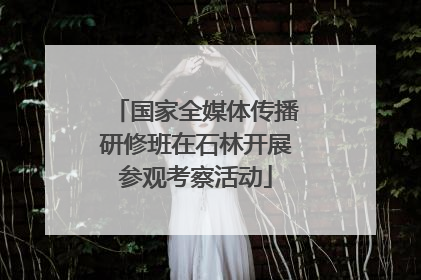 国家全媒体传播研修班在石林开展参观考察活动