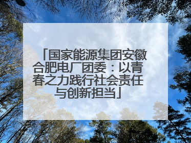 国家能源集团安徽合肥电厂团委：以青春之力践行社会责任与创新担当
