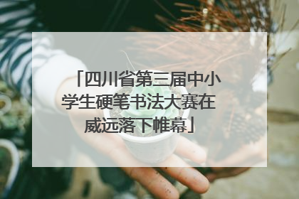 四川省第三届中小学生硬笔书法大赛在威远落下帷幕