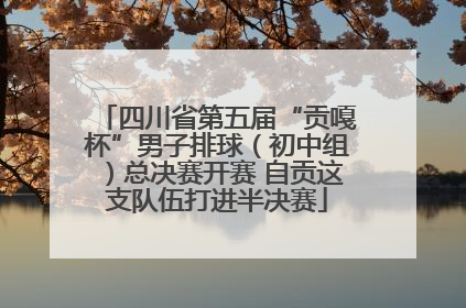 四川省第五届“贡嘎杯”男子排球（初中组）总决赛开赛 自贡这支队伍打进半决赛