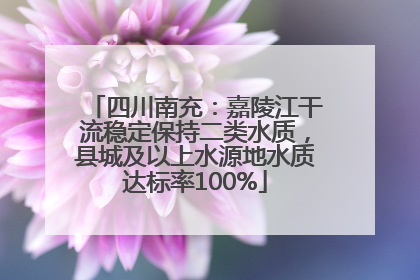 四川南充：嘉陵江干流稳定保持二类水质，县城及以上水源地水质达标率100%