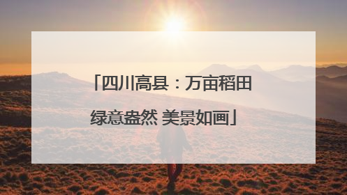 四川高县：万亩稻田绿意盎然 美景如画