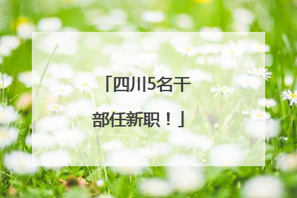 四川5名干部任新职！
