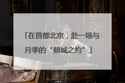 在首都北京，赴一场与月季的“倾城之约”