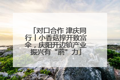 对口合作 津庆同行丨小香菇撑开致富伞，庆阳开边镇产业振兴有“蘑”力