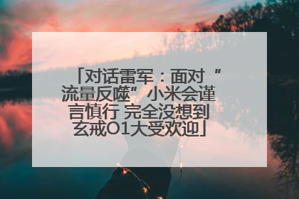 对话雷军：面对“流量反噬”小米会谨言慎行 完全没想到玄戒O1大受欢迎