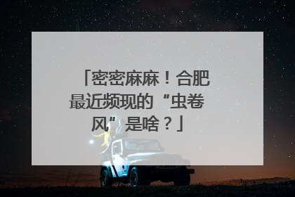 密密麻麻！合肥最近频现的“虫卷风”是啥？