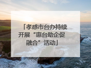 孝感市台办持续开展“惠台助企促融合”活动