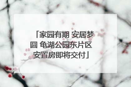 家园有期 安居梦圆 龟湖公园东片区安置房即将交付