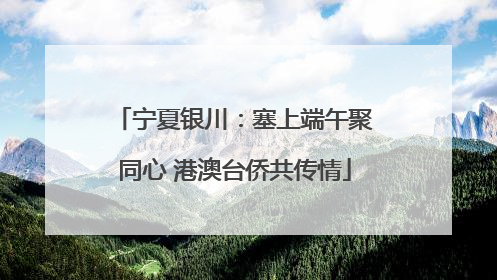 宁夏银川：塞上端午聚同心 港澳台侨共传情