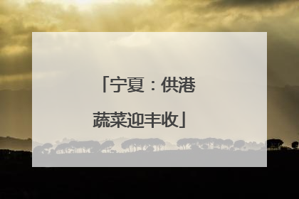 宁夏：供港蔬菜迎丰收