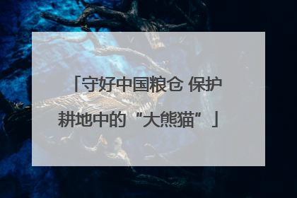 守好中国粮仓 保护耕地中的“大熊猫”