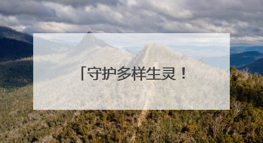 守护多样生灵！昆明市生态环保专业人大代表工作站解锁新玩法