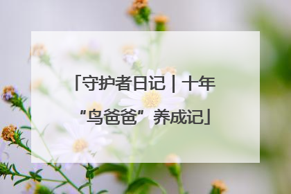 守护者日记｜十年“鸟爸爸”养成记