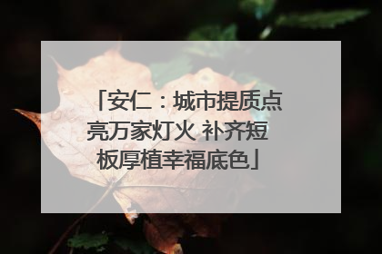 安仁：城市提质点亮万家灯火 补齐短板厚植幸福底色
