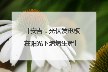 安吉：光伏发电板在阳光下熠熠生辉