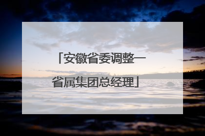 安徽省委调整一省属集团总经理