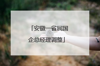 安徽一省属国企总经理调整