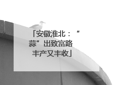 安徽淮北：“蒜”出致富路 丰产又丰收