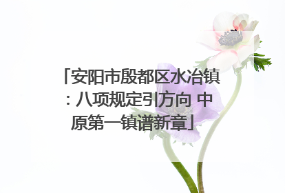 安阳市殷都区水冶镇：八项规定引方向 中原第一镇谱新章