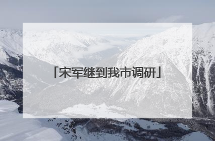宋军继到我市调研