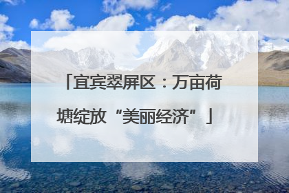 宜宾翠屏区：万亩荷塘绽放“美丽经济”