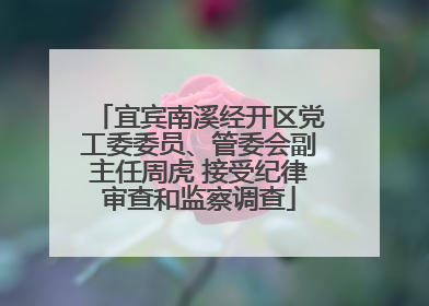 宜宾南溪经开区党工委委员、管委会副主任周虎 接受纪律审查和监察调查