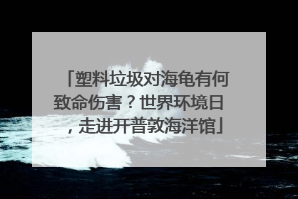 塑料垃圾对海龟有何致命伤害？世界环境日，走进开普敦海洋馆