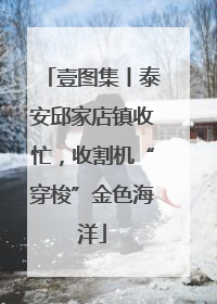 壹图集丨泰安邱家店镇收忙，收割机“穿梭”金色海洋