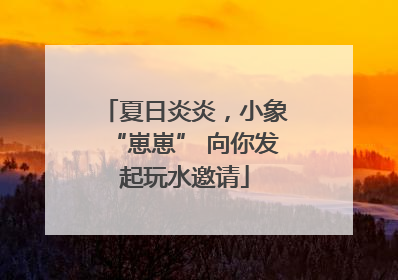 夏日炎炎，小象“崽崽” 向你发起玩水邀请