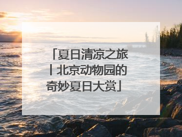 夏日清凉之旅丨北京动物园的奇妙夏日大赏