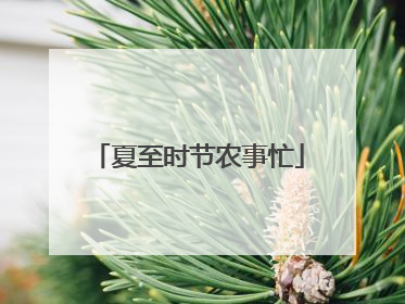 夏至时节农事忙