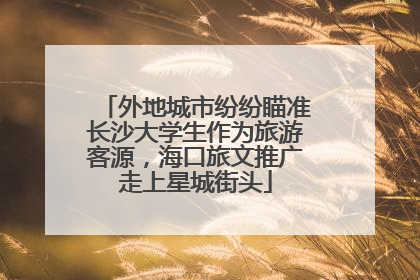 外地城市纷纷瞄准长沙大学生作为旅游客源，海口旅文推广走上星城街头