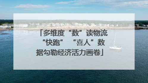 多维度“数”读物流“快跑” “喜人”数据勾勒经济活力画卷