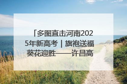 多图直击河南2025年新高考｜旗袍送福 葵花迎胜——许昌高考首日拉开帷幕