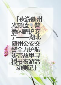 夜游随州光影盛，警徽闪耀护安宁——湖北随州公安交警全力护航炎帝故里寻根节夜游活动侧记