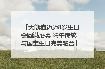 大熊猫迈迈8岁生日会圆满落幕 端午传统与国宝生日完美融合