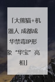 大熊猫+机器人 成都成华禁毒IP形象“华宝”亮相