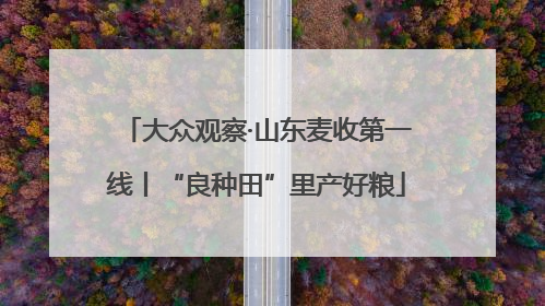 大众观察·山东麦收第一线丨“良种田”里产好粮