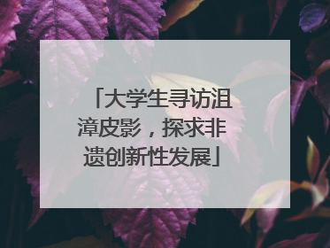 大学生寻访沮漳皮影，探求非遗创新性发展