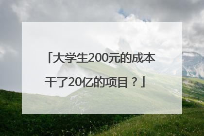 大学生200元的成本干了20亿的项目？