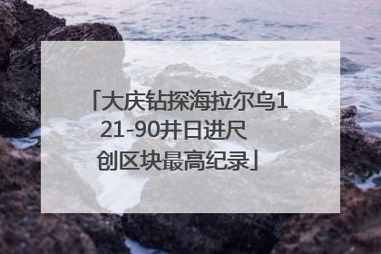 大庆钻探海拉尔乌121-90井日进尺 创区块最高纪录