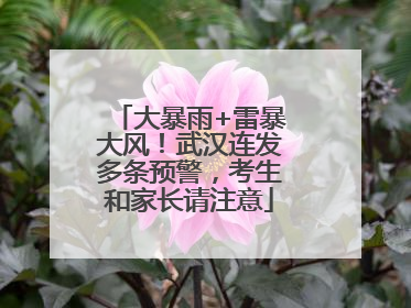 大暴雨+雷暴大风！武汉连发多条预警，考生和家长请注意