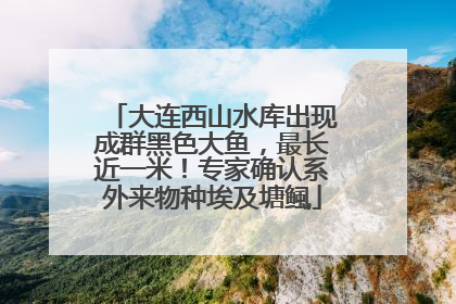 大连西山水库出现成群黑色大鱼，最长近一米！专家确认系外来物种埃及塘鲺