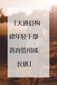 大通县构建年轻干部选育管用成长链