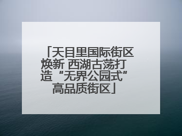 天目里国际街区焕新 西湖古荡打造“无界公园式”高品质街区