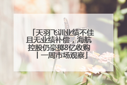 天羽飞训业绩不佳且无业绩补偿，海航控股仍豪掷8亿收购丨一周市场观察