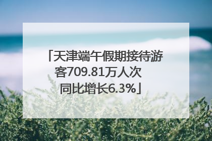 天津端午假期接待游客709.81万人次 同比增长6.3%