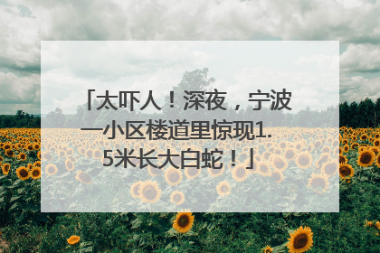 太吓人！深夜，宁波一小区楼道里惊现1.5米长大白蛇！