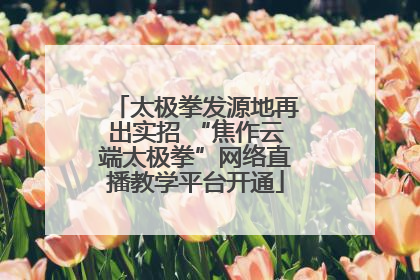 太极拳发源地再出实招 “焦作云端太极拳”网络直播教学平台开通